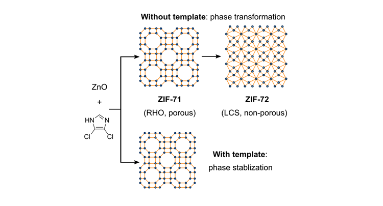 Template‐mediated control over polymorphism in MOF-CVD @Angewandte Chemie