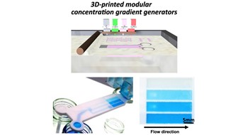 3D printing of autonomous concentration gradient generators @ Adv. Eng. Mater.!