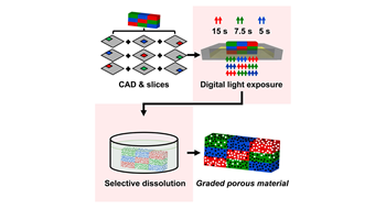 SLA 3D printing of graded porous materials @Cell Reports Physical Science!