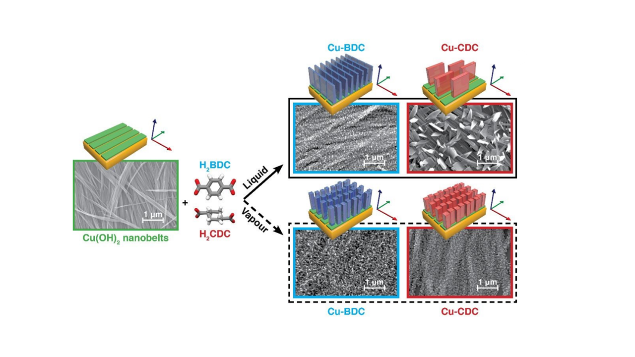 Polymorphism and orientation control of copper-dicarboxylate MOF thin films through vapour- and liquid-phase growth @Cryst. Eng. Comm.!