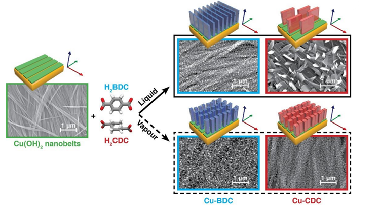 Polymorphism and orientation control of copper-dicarboxylate MOF thin films through vapour- and liquid-phase growth @Cryst. Eng. Comm.!