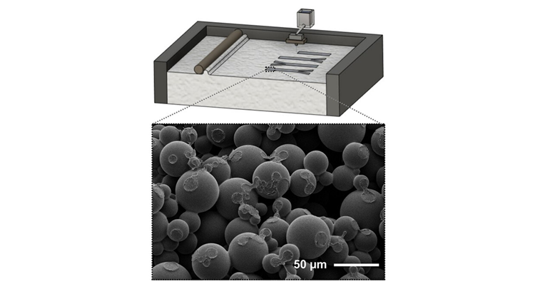 3D Printed Power Source for Point-of-Care Diagnostics @Advanced Engineering Materials!