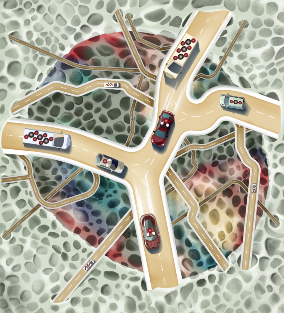 Mind the Gap: The Role of Mass Transfer in Shaped Nanoporous Adsorbents for Carbon Dioxide Capture @JACS!