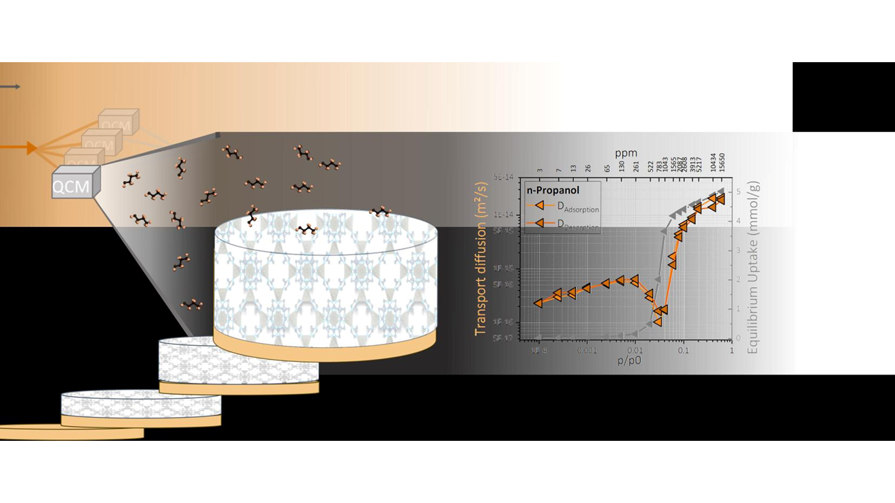 Transport diffusion measurements in ZIF-8 thin films by quartz crystal microgravimetry: pitfalls and opportunities @Advanced Functional Materials