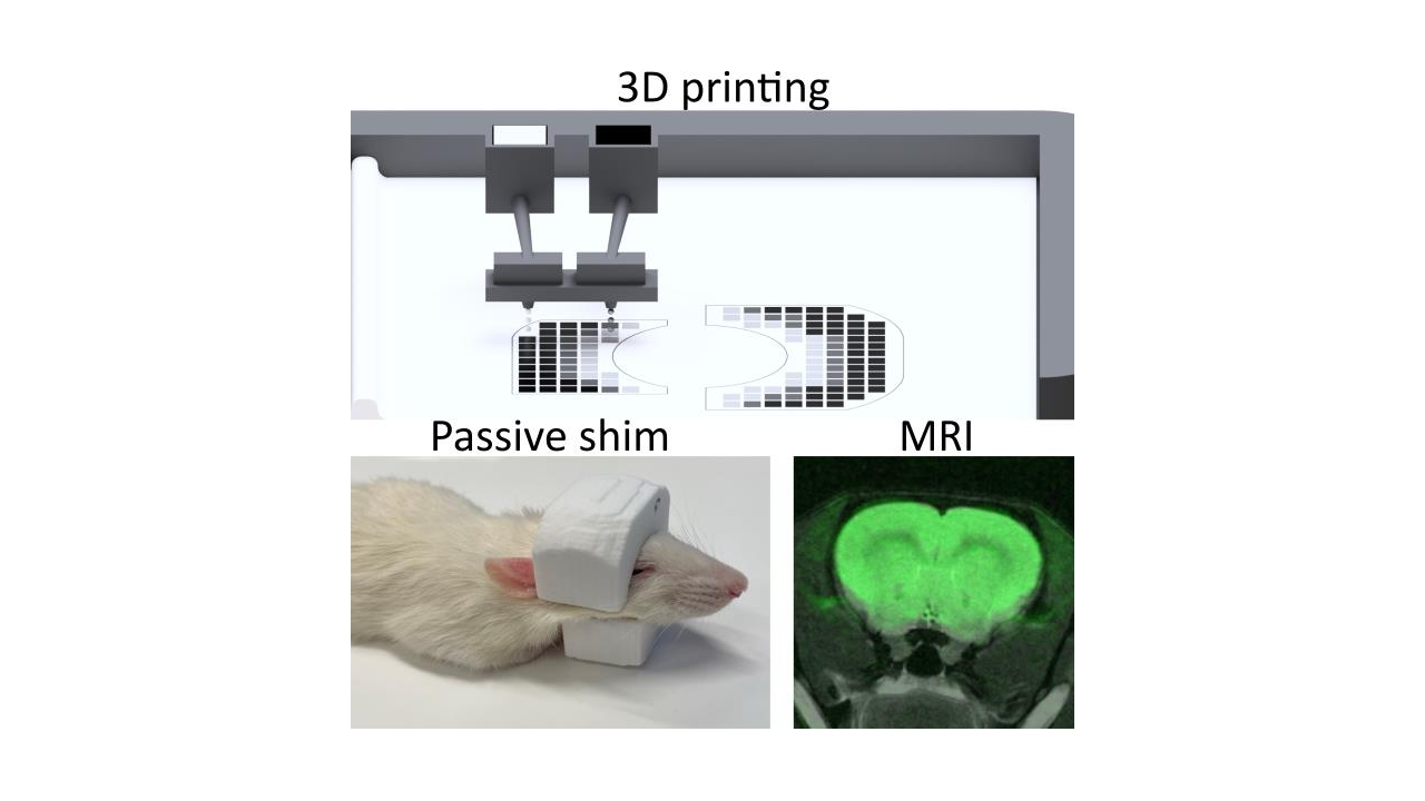 3D Printing of Subject-Specific Passive Shims for In Vivo Small-Animal Magnetic Resonance Imaging @Magnetic Resonance in Medicine